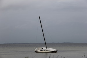 IMG_5678