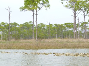 P1090068