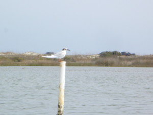 P1090082