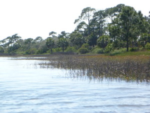 P1090153